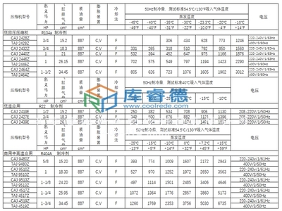 法国泰康制冷压缩机TAJ4519T-Tt